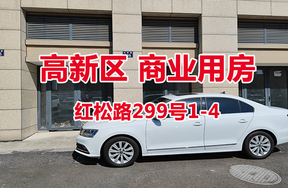 序号04：红松路299号1-4